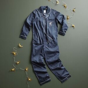 Pottery Barn Blue Striped Pajama Set